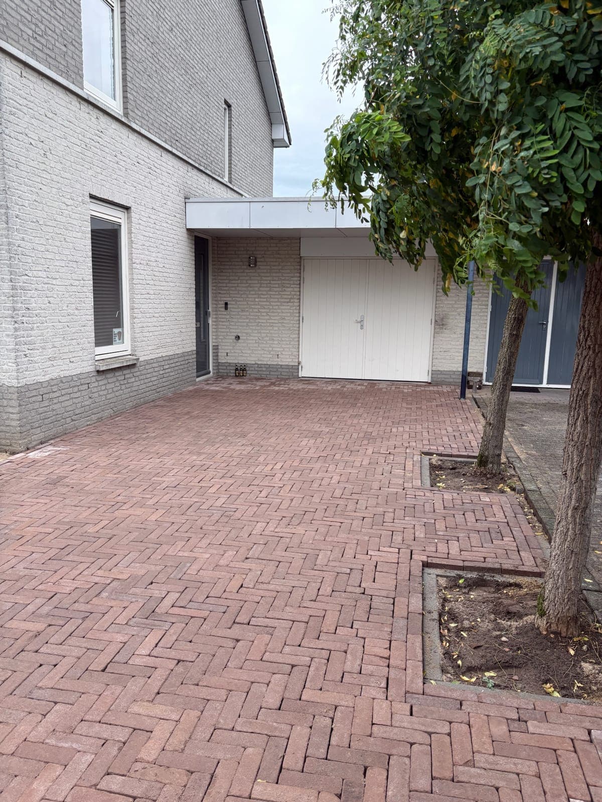 Oprit in gebakken klinkers in elleboogverband rond bestaande bomen