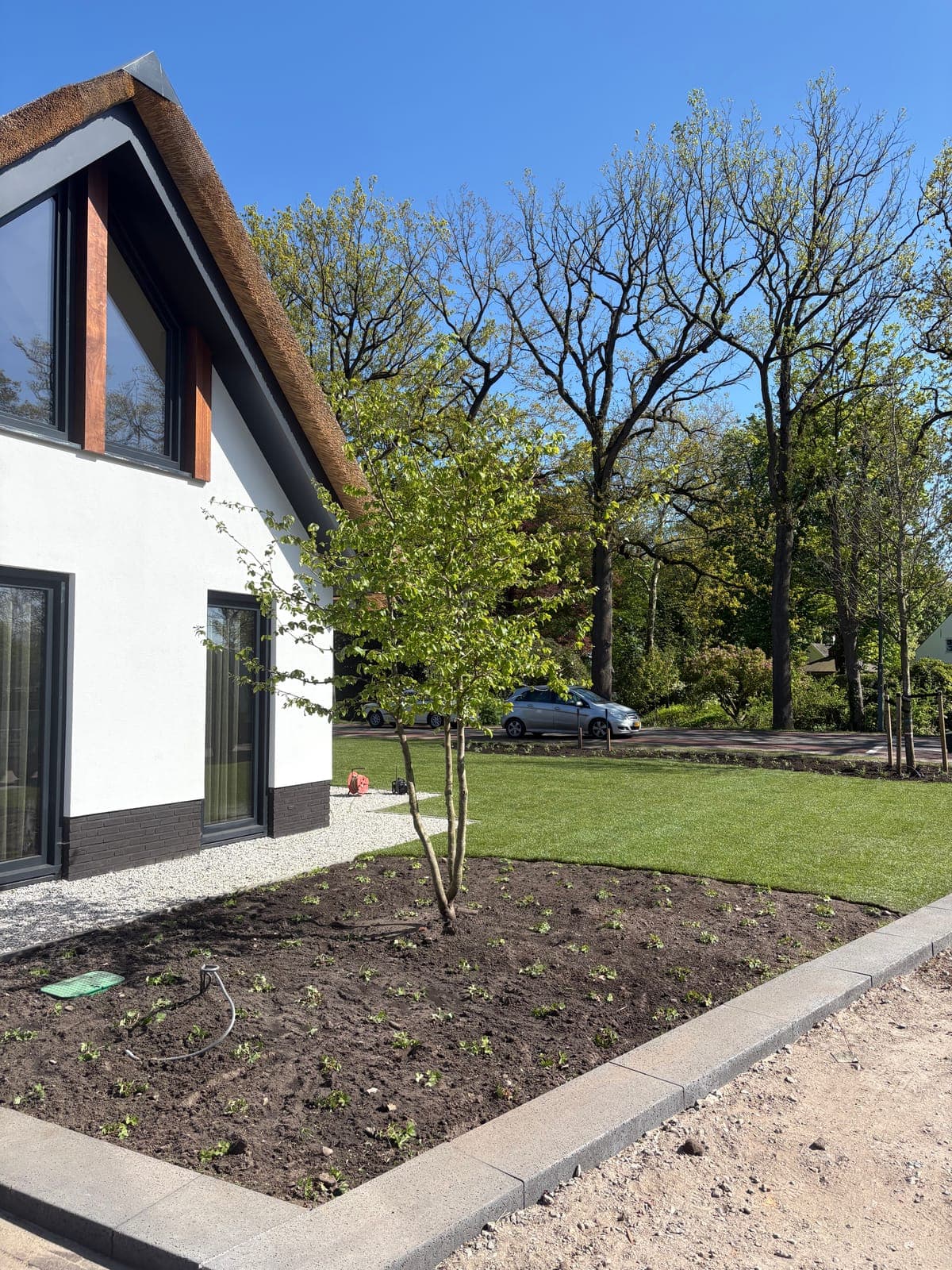 Nieuwe boom en gazon langs de gevel