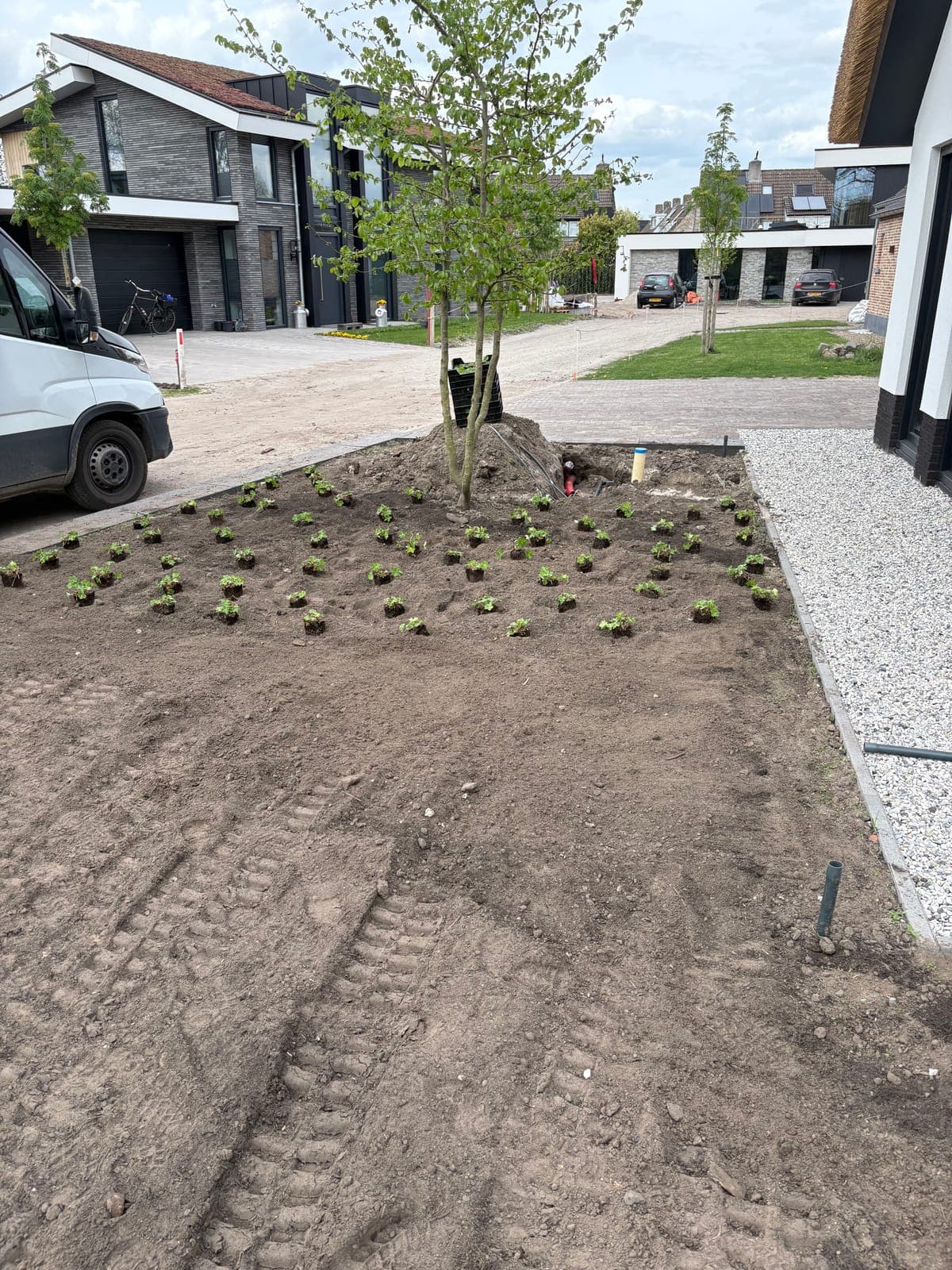 Aanbrengen van graszoden op het voorbereide terrein